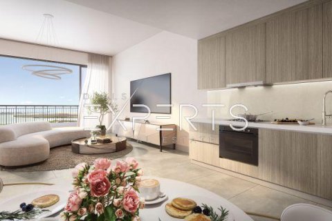 43.7m² Apartment on the Yas Island, UAE No. 9609 5