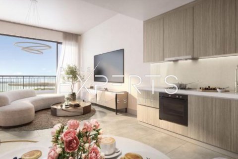 43.7m² Apartment on the Yas Island, UAE No. 9609 3