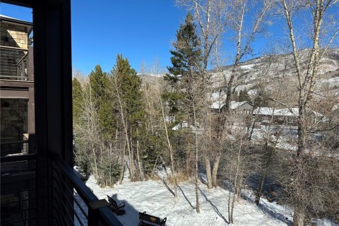 2 dormitorios Condominio  en Silverthorne, USA No. 71300 28