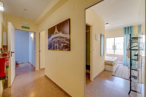 16 dormitorios Hotel en Alicante, Spain No. 27157 6