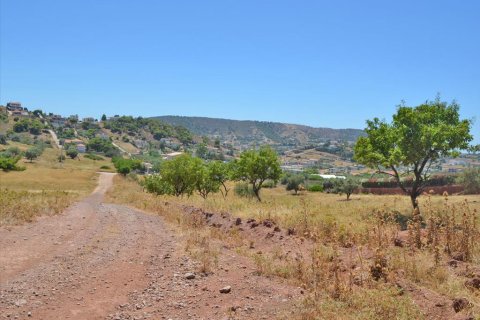 13500m² Land in Koropi, Greece No. 60184 2