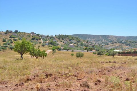 13500m² Land in Koropi, Greece No. 60184 1