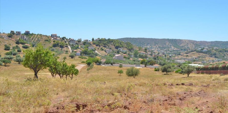 13500m² Land in Koropi, Greece No. 60184