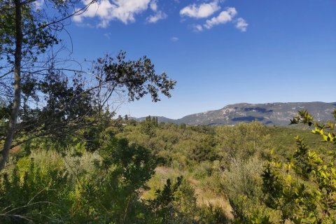 48000m² Land in Corfu, Greece No. 55843 6