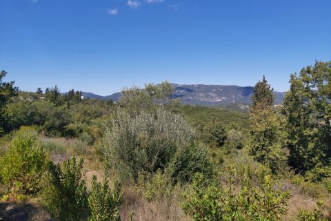 48000m² Land in Corfu, Greece No. 55843 3