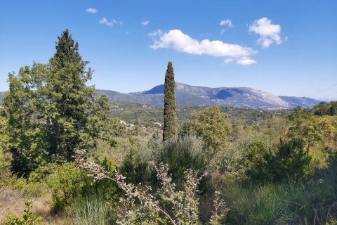 48000m² Land in Corfu, Greece No. 55843 2