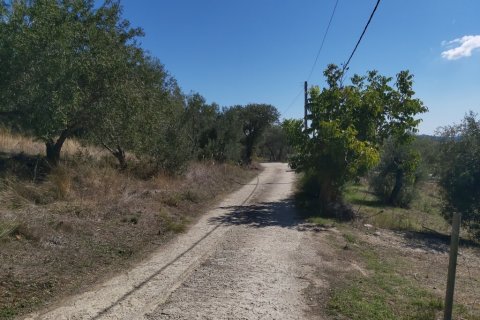 48000m² Land in Corfu, Greece No. 55843 11