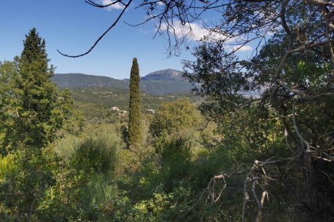 48000m² Land en Corfu, Greece No. 55843 7