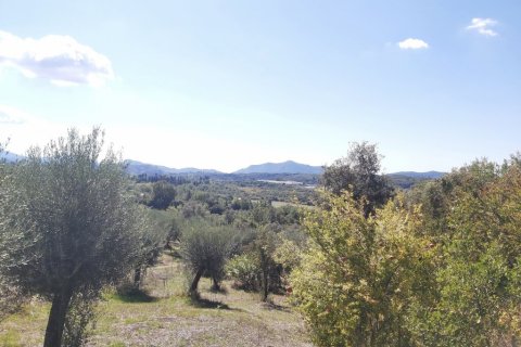 48000m² Land in Corfu, Greece No. 55843 1