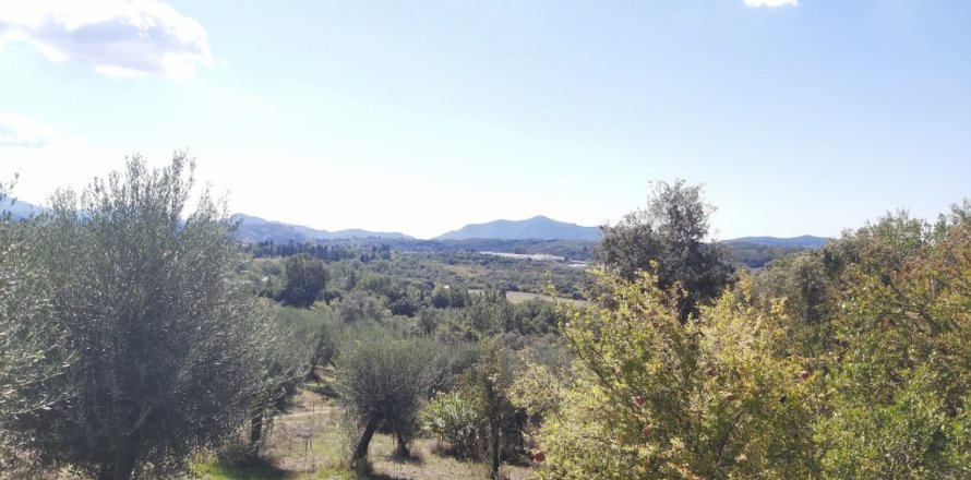 48000m² Land in Corfu, Greece No. 55843