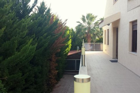 Apartamento tipo estudio Estudio en Limassol, Cyprus No. 51564 10