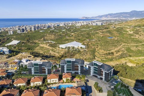 1+1 Appartement à Alanya, Turkey No. 11046 2