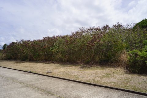 2135.93m² Land in Frigate Bay, Saint Kitts and Nevis No. 61518 2