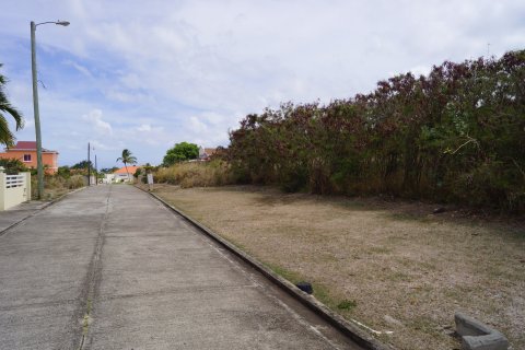 2135.93m² Land en Frigate Bay, Saint Kitts and Nevis No. 61518 1