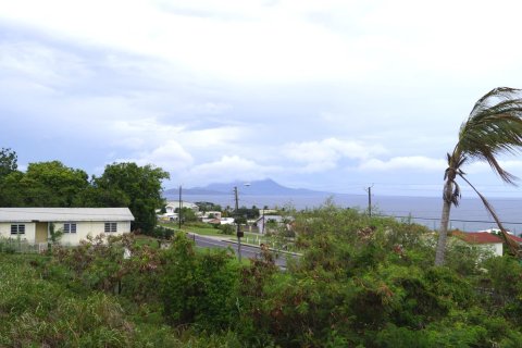 4 dormitorios Villa en West Farm, Saint Kitts and Nevis No. 61514 8