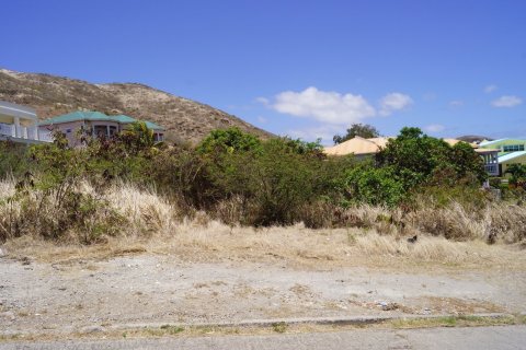 1114.84m² Land en Frigate Bay, Saint Kitts and Nevis No. 61516 12