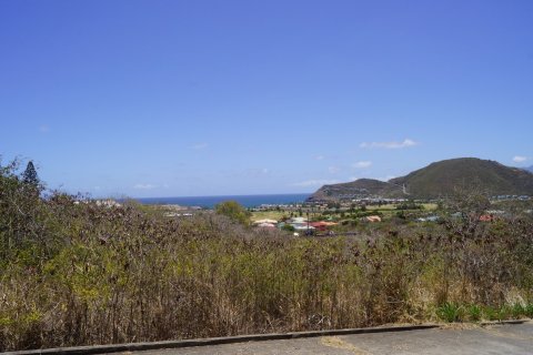 1114.84m² Land à Frigate Bay, Saint Kitts and Nevis No. 61516 9