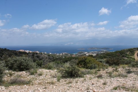 7000m² Land in Agios Nikolaos, Greece No. 57415 1