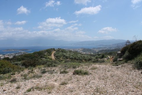 7000m² Land à Agios Nikolaos, Greece No. 57415 5