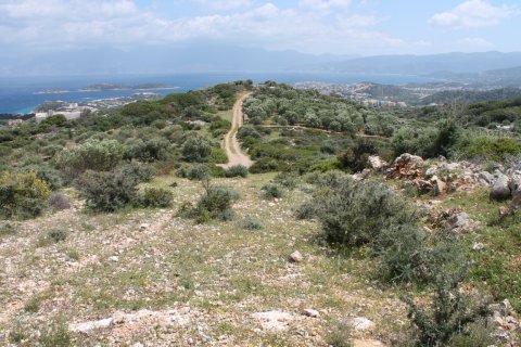 7000m² Land en Agios Nikolaos, Greece No. 57415 6