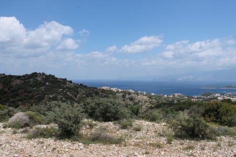 7000m² Land en Agios Nikolaos, Greece No. 57415 4