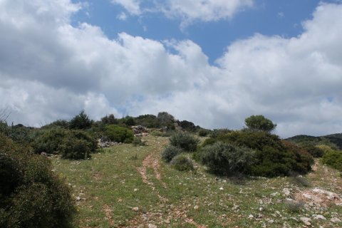 7000m² Land en Agios Nikolaos, Greece No. 57415 3