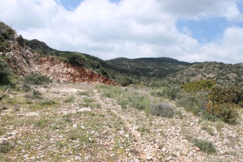 7000m² Land in Agios Nikolaos, Greece No. 57415 7