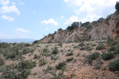 7000m² Land à Agios Nikolaos, Greece No. 57415 2