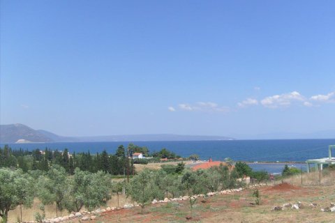 5 dormitorios Villa en Euboea, Greece No. 60388 5