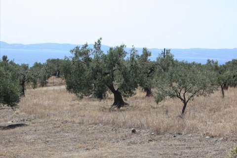 4070m² Land in Chalkidiki, Greece No. 60617 3