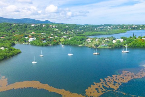 2474.1m² Land in Fort Jeudy, Grenada No. 53192 5