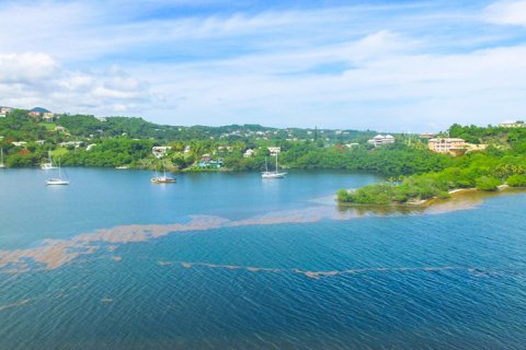 2474.1m² Land in Fort Jeudy, Grenada No. 53192 6