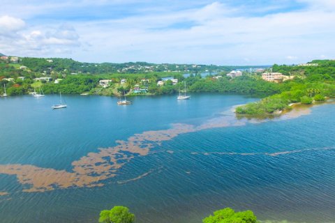 2474.1m² Land in Fort Jeudy, Grenada No. 53192 4