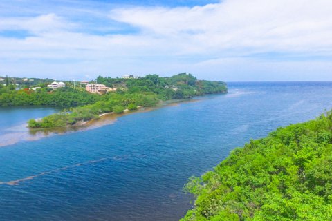 2474.1m² Land in Fort Jeudy, Grenada No. 53192 7