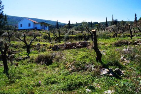 House en Zakynthos, Greece No. 24527 15