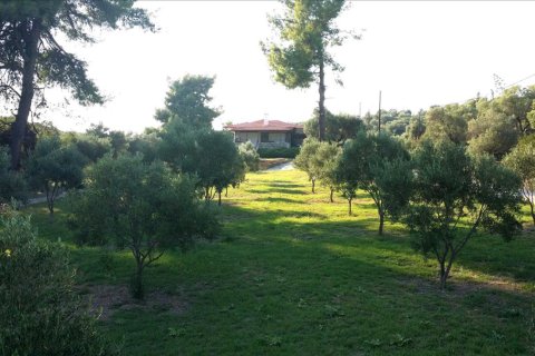 2 dormitorios Villa en Chalkidiki, Greece No. 48874 8