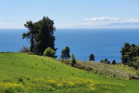 11000m² Land in Chalkidiki, Greece No. 56334 2