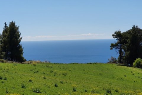 11000m² Land en Chalkidiki, Greece No. 56334 3