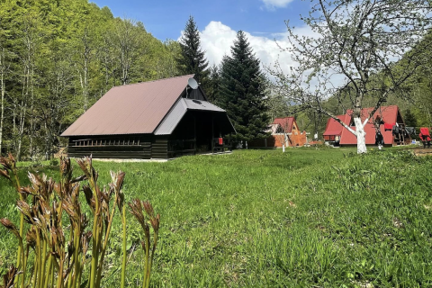 6 chambres House à Kolasin, Montenegro No. 62382 24