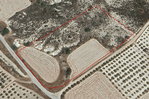 16177m² Land à Monagroulli, Cyprus No. 44164 1