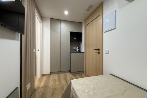 Квартира с 3 спальнями в Аликанте, Испания №92299 25