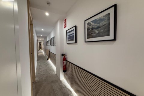 Квартира с 3 спальнями в Аликанте, Испания №92299 15