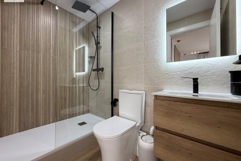 Квартира с 3 спальнями в Аликанте, Испания №92299 14