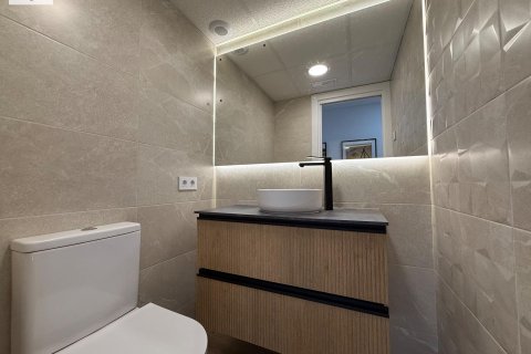 Квартира с 3 спальнями в Аликанте, Испания №92299 27