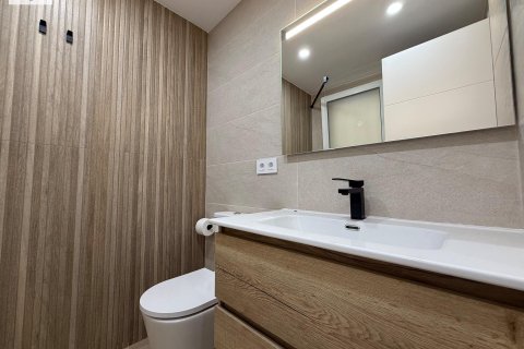 Квартира с 3 спальнями в Аликанте, Испания №92299 22