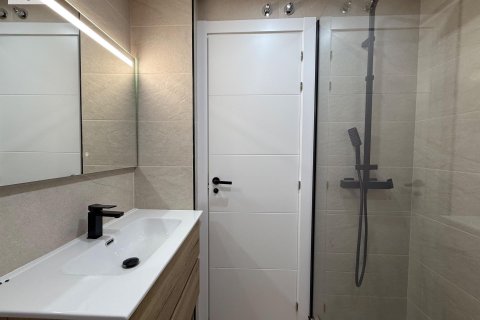 Квартира с 3 спальнями в Аликанте, Испания №92299 24