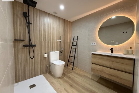 Квартира с 3 спальнями в Аликанте, Испания №92299 30