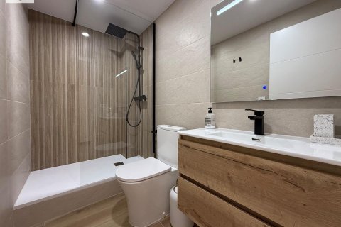 Квартира с 3 спальнями в Аликанте, Испания №92299 9