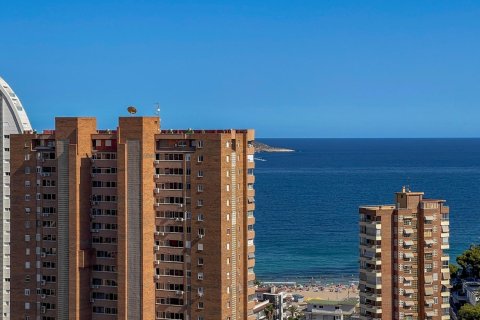 2 dormitorios Apartment en Benidorm, Spain No. 27873 3