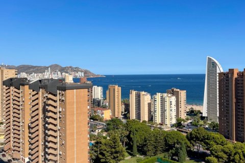 2 chambres Appartement à Benidorm, Spain No. 27873 20